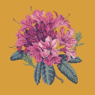 Rhododendron Needlepoint Kit Kits Elizabeth Bradley Design Yellow 
