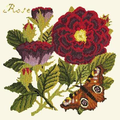 Rose Needlepoint Kit Kits Elizabeth Bradley Design Winter White 