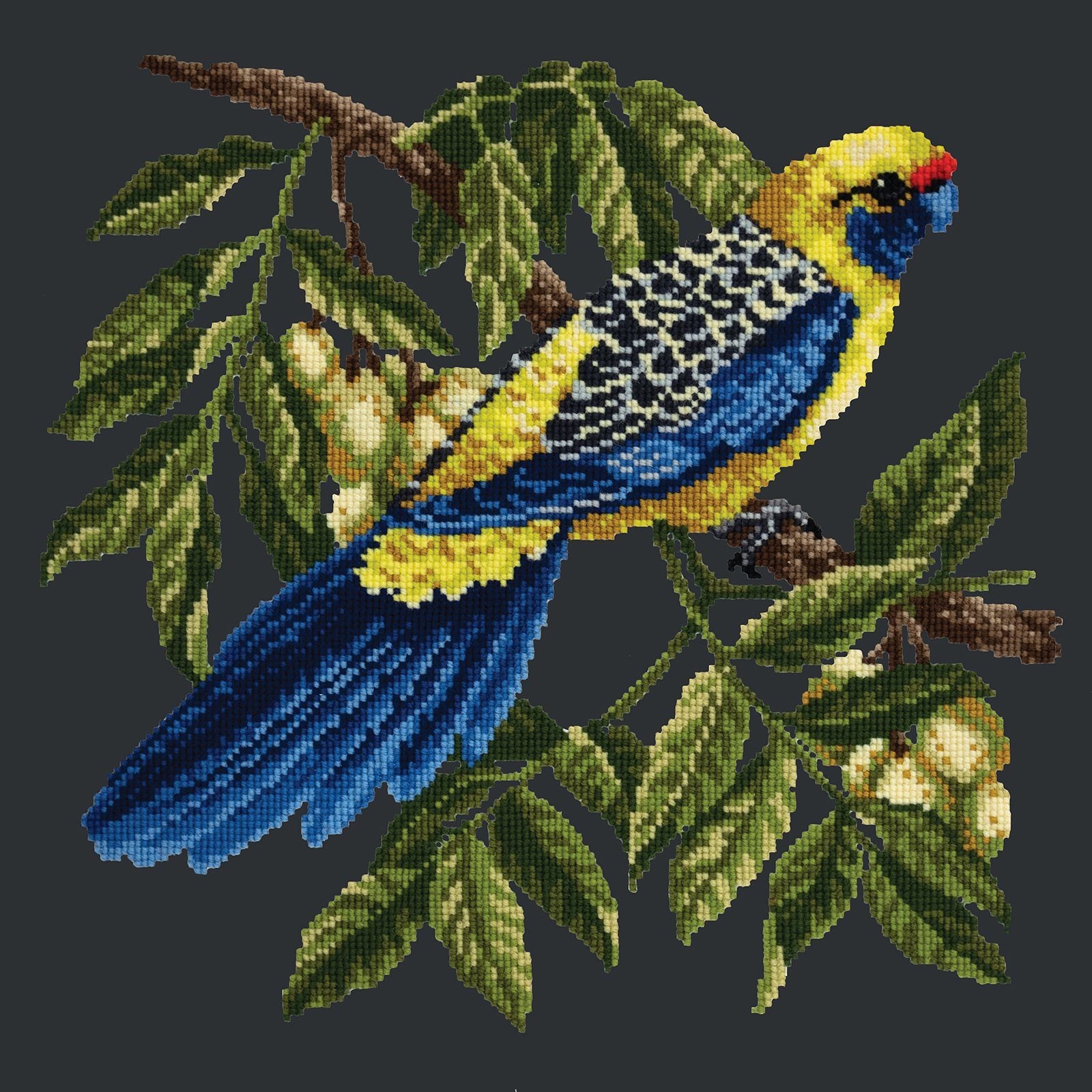 Rosella Needlepoint Kit Kits Elizabeth Bradley Design 
