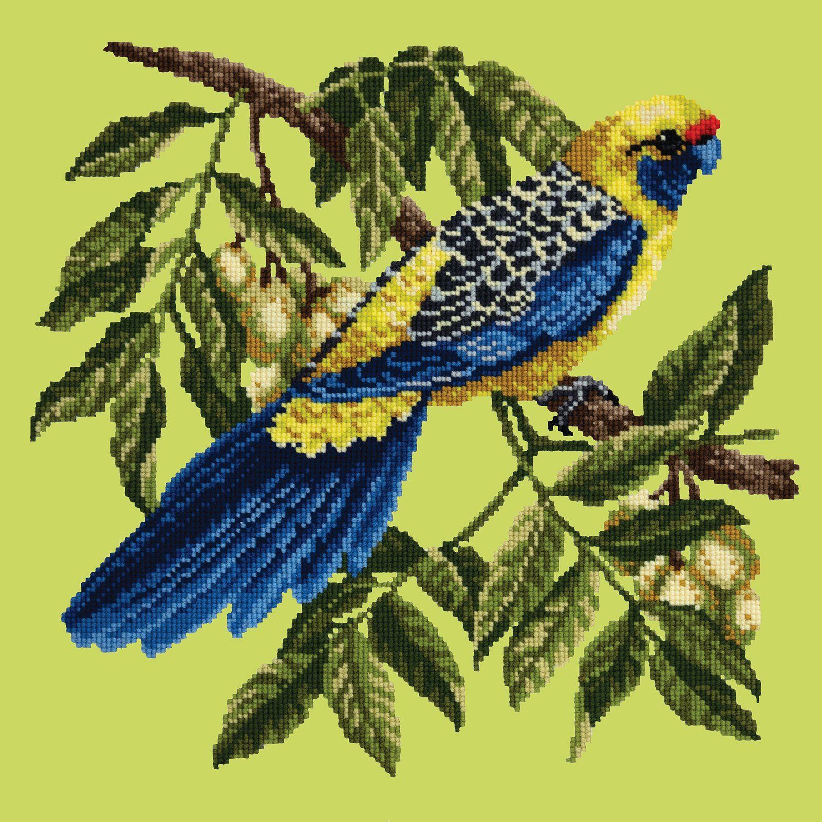 Rosella Needlepoint Kit Kits Elizabeth Bradley Design 
