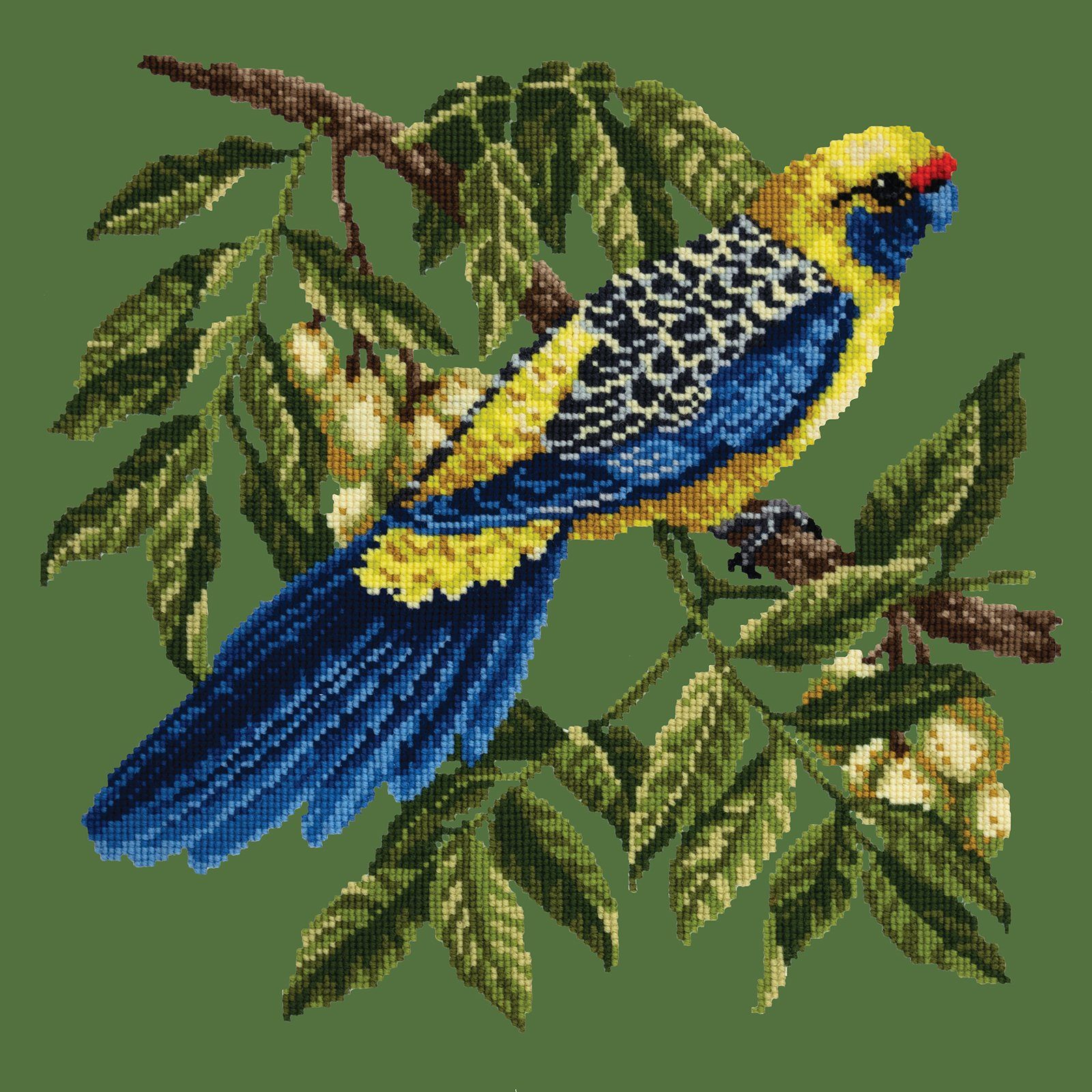 Rosella Needlepoint Kit Kits Elizabeth Bradley Design 
