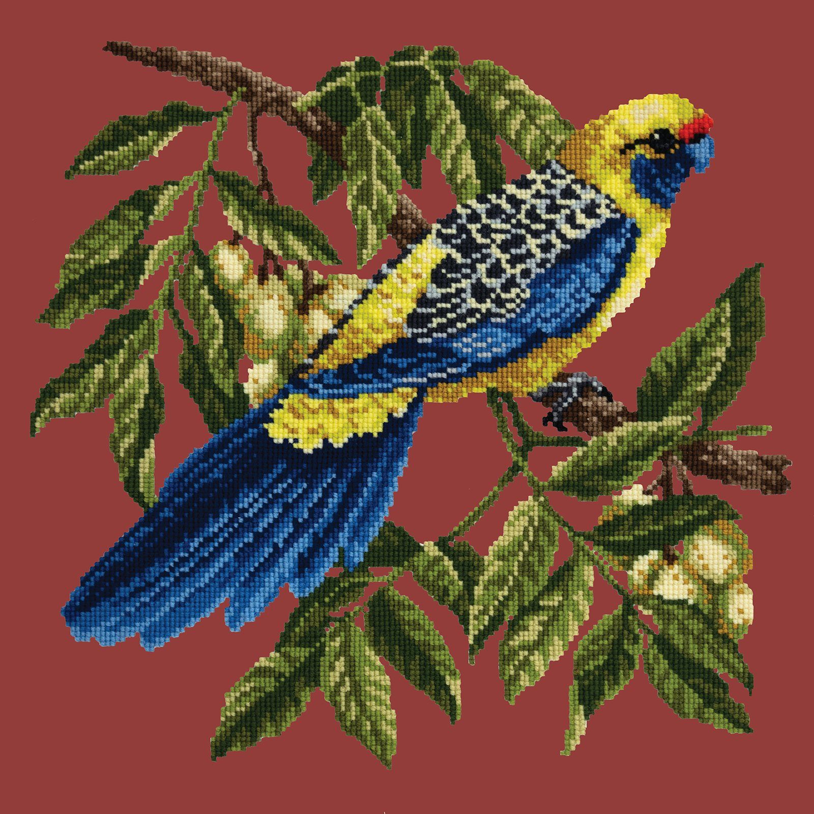 Rosella Needlepoint Kit Kits Elizabeth Bradley Design 
