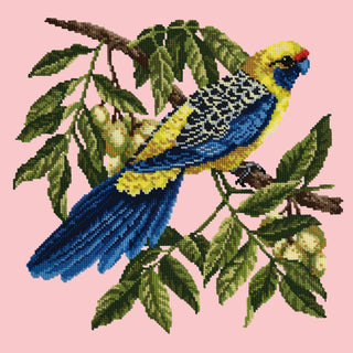 Rosella Needlepoint Kit Kits Elizabeth Bradley Design 
