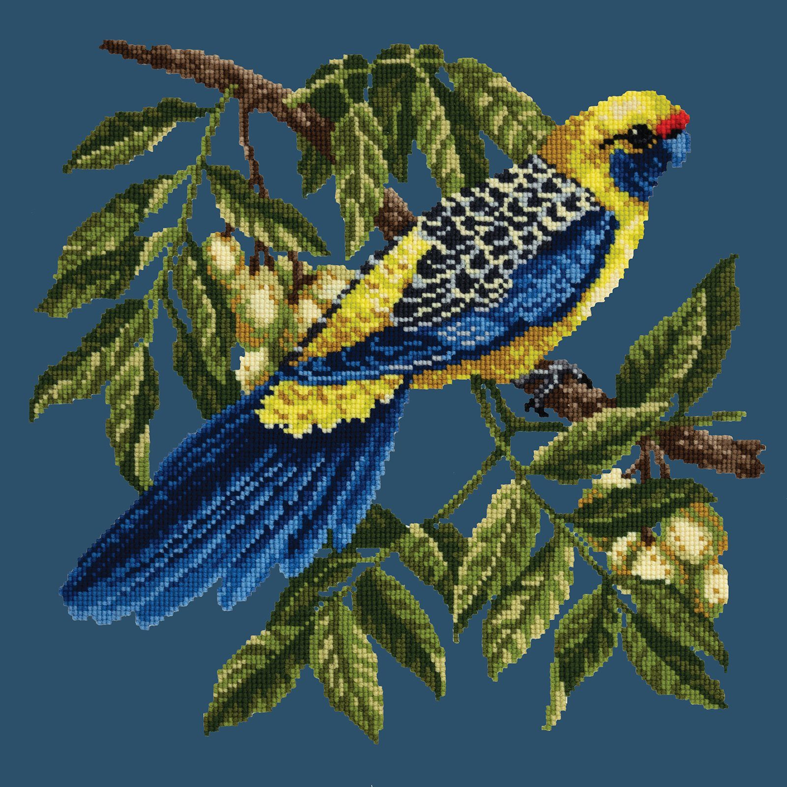 Rosella Needlepoint Kit Kits Elizabeth Bradley Design 
