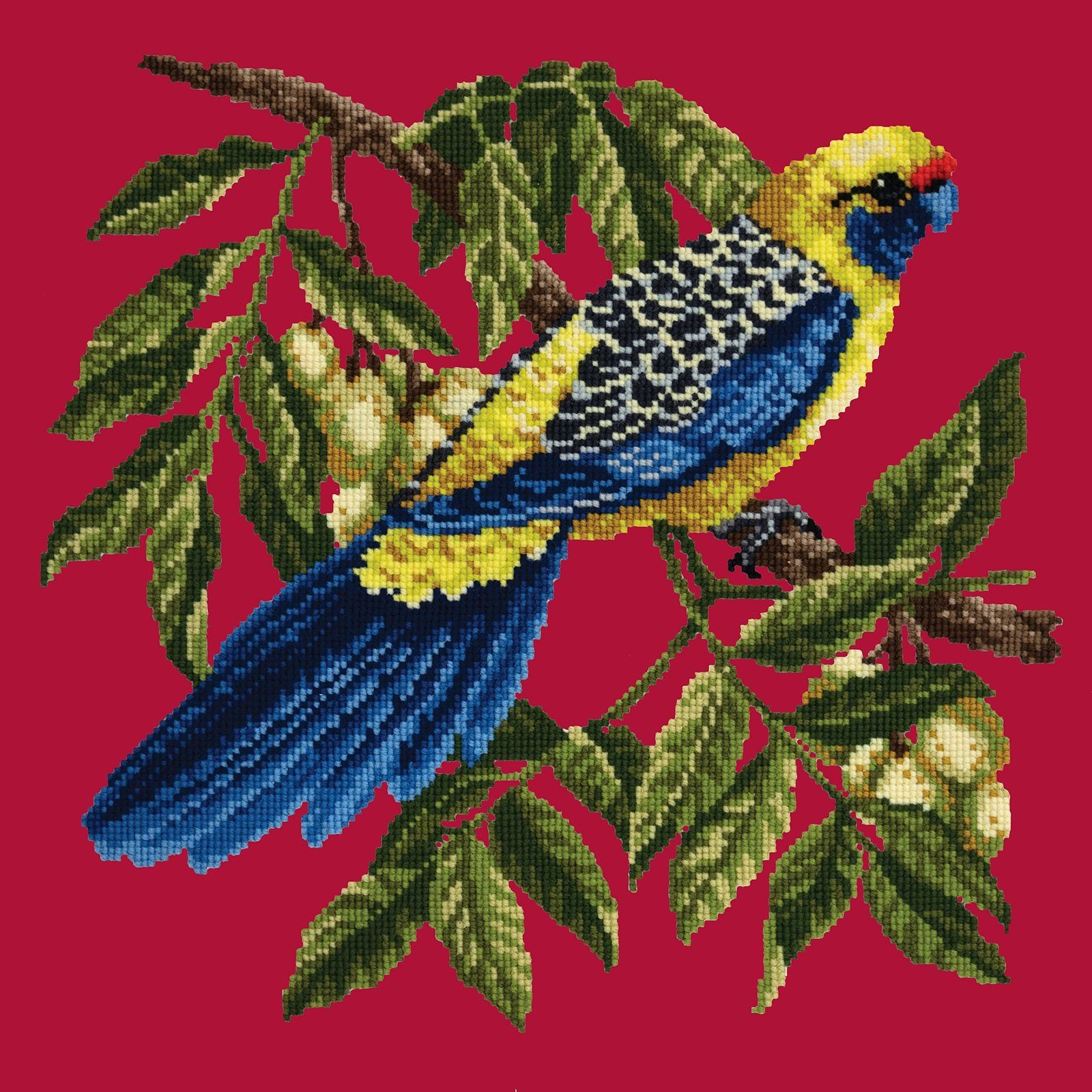 Rosella Needlepoint Kit Kits Elizabeth Bradley Design 
