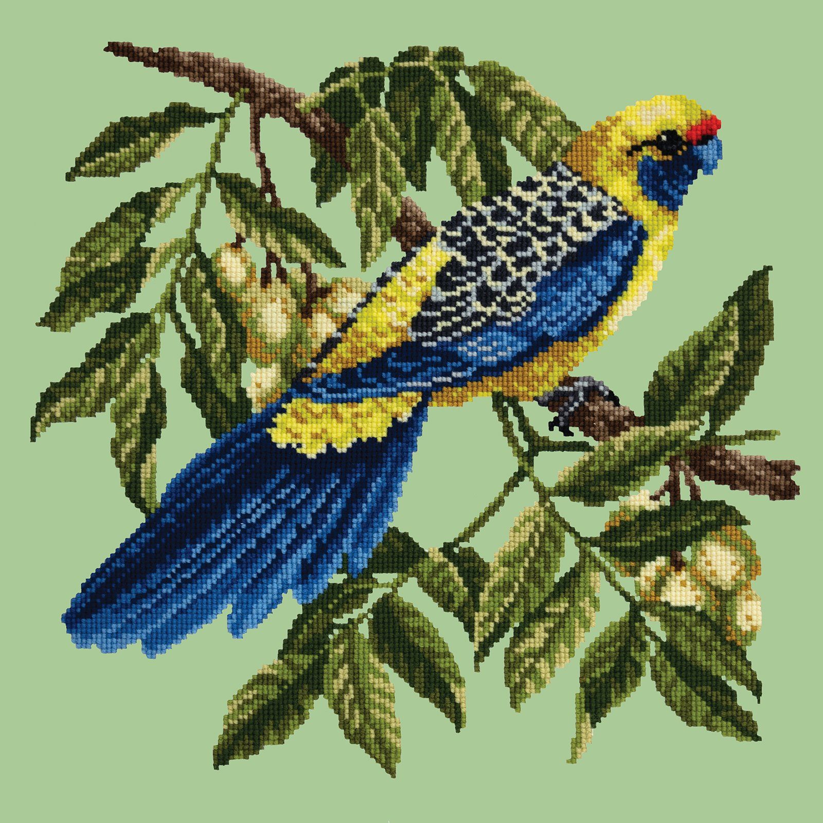 Rosella Needlepoint Kit Kits Elizabeth Bradley Design 

