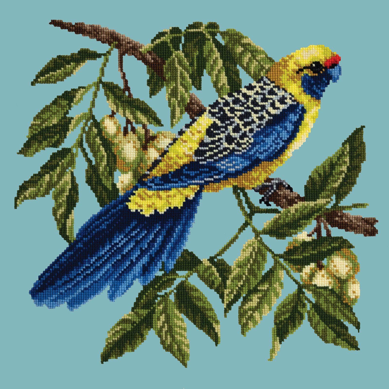 Rosella Needlepoint Kit Kits Elizabeth Bradley Design 
