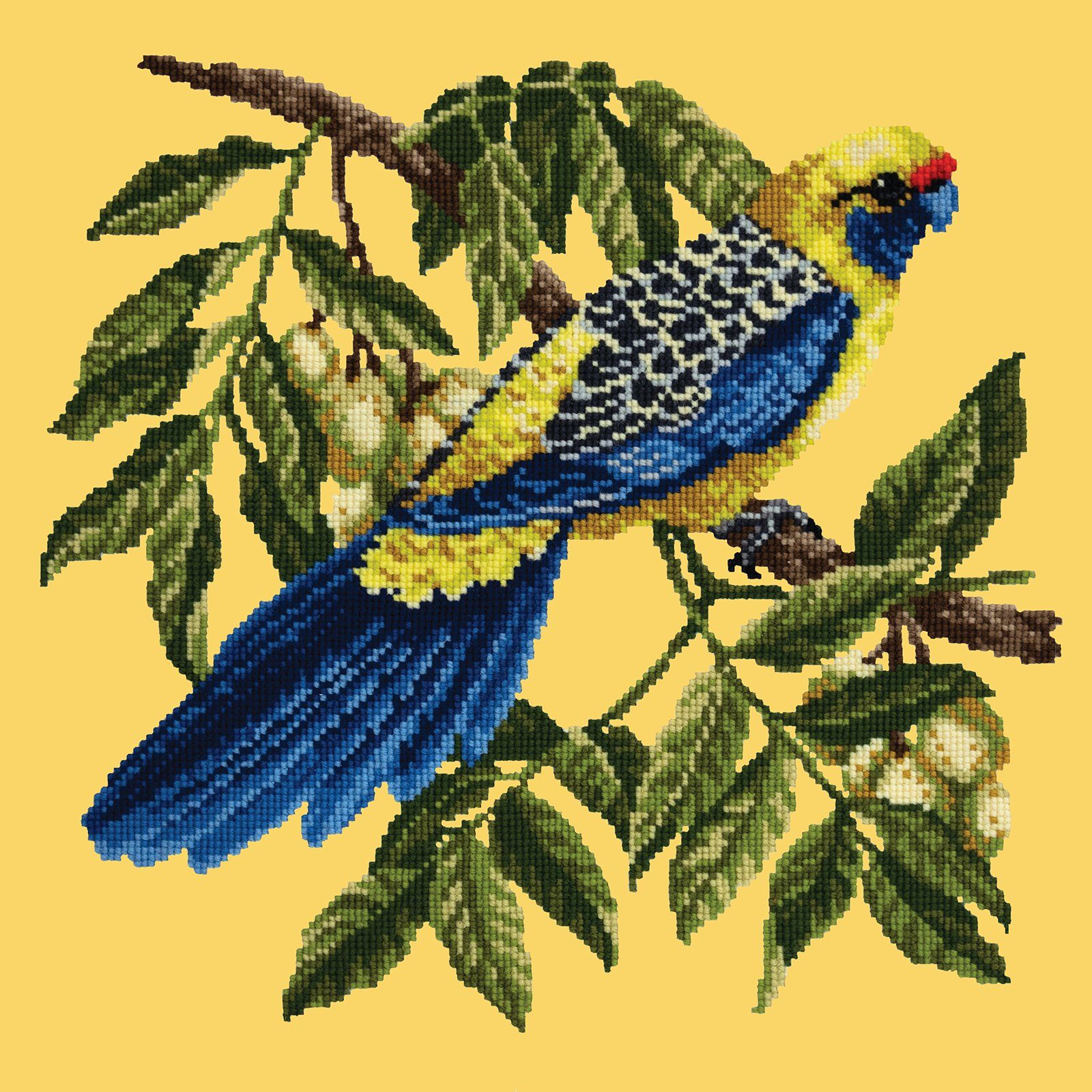 Rosella Needlepoint Kit Kits Elizabeth Bradley Design 

