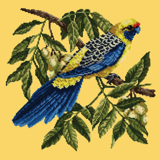 Rosella Needlepoint Kit Kits Elizabeth Bradley Design 

