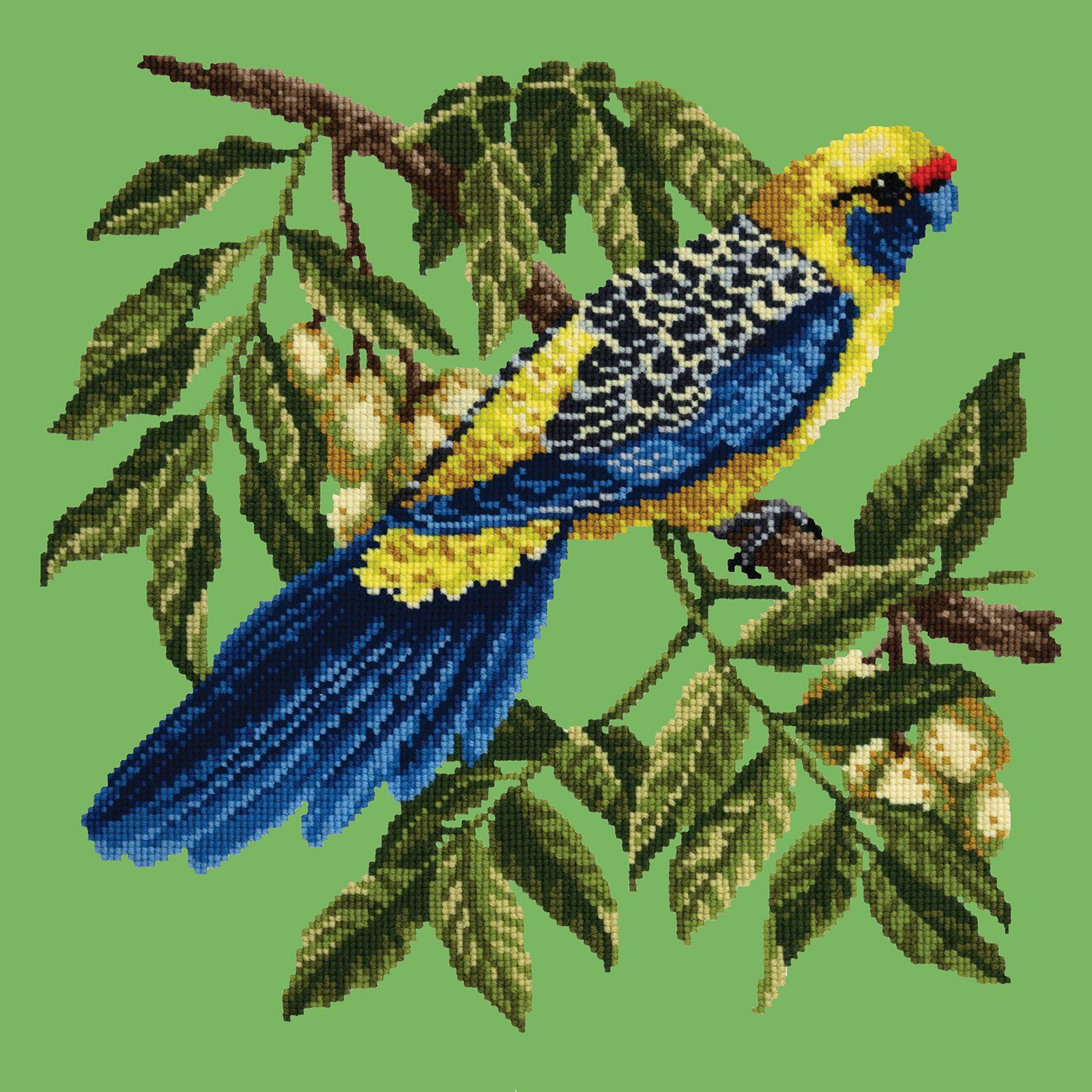 Rosella Needlepoint Kit Kits Elizabeth Bradley Design 
