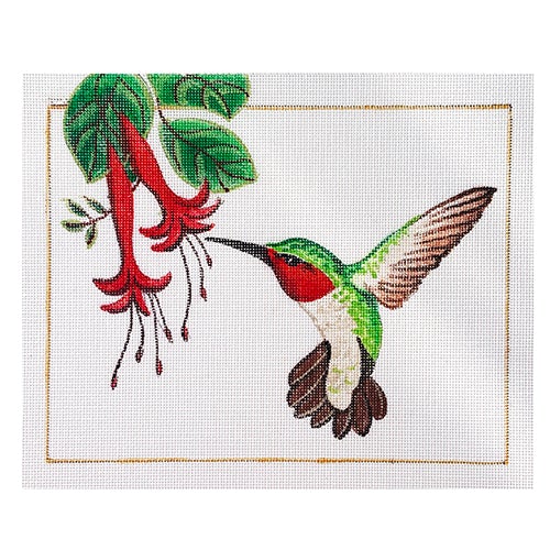 Ruby Throated Hummingbird with Border Painted Canvas Chris Lewis Distributing  - 1