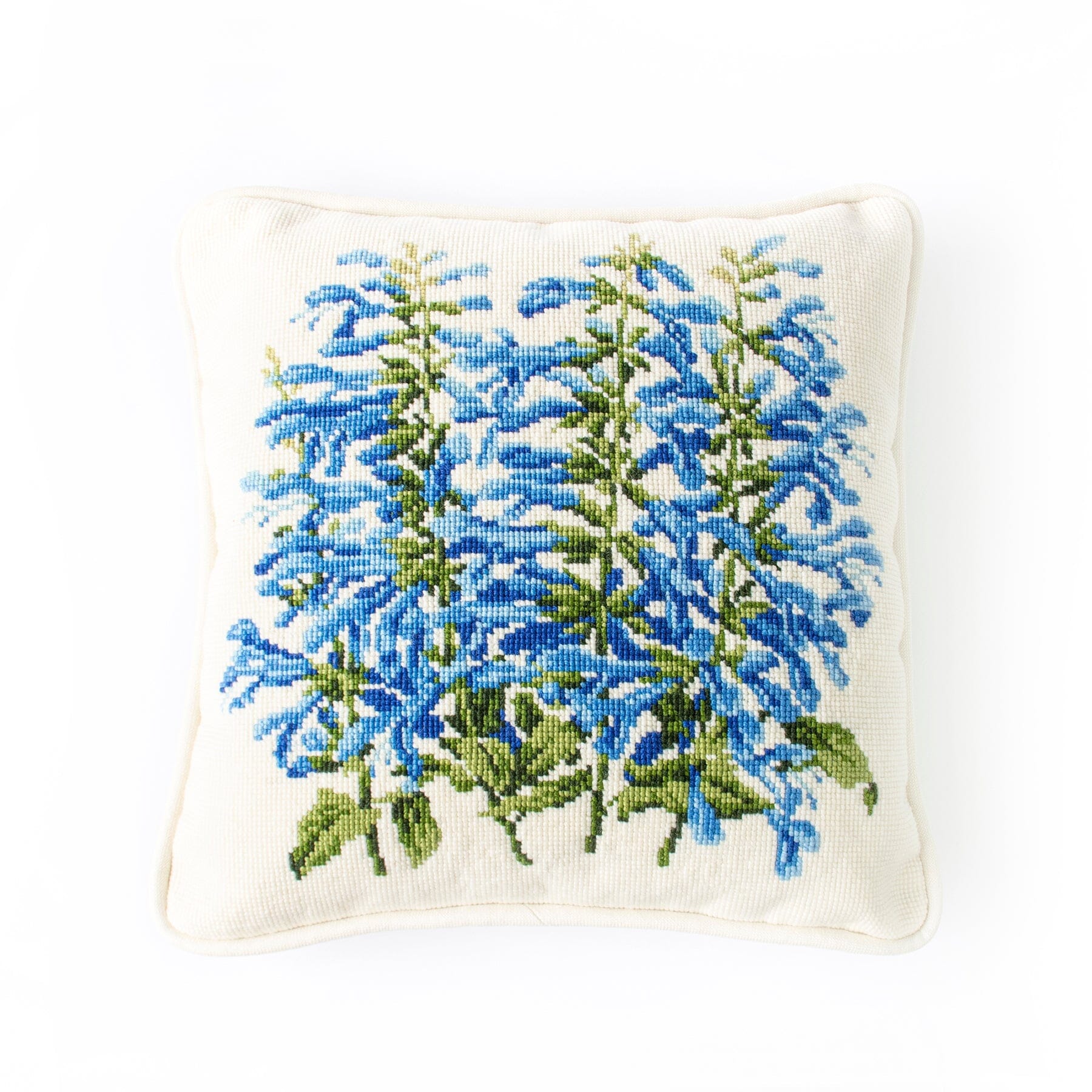 Salvia Kits Elizabeth Bradley Design 
