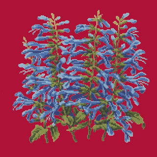 Salvia Kits Elizabeth Bradley Design Bright Red 
