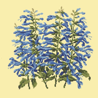 Salvia Kits Elizabeth Bradley Design Butter Yellow 
