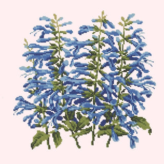 Salvia Kits Elizabeth Bradley Design Cream 
