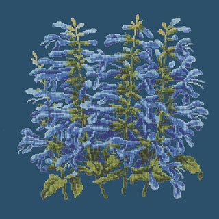 Salvia Kits Elizabeth Bradley Design Dark Blue 
