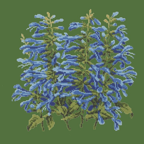 Salvia Kits Elizabeth Bradley Design Dark Green 
