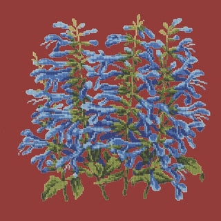Salvia Kits Elizabeth Bradley Design Dark Red 
