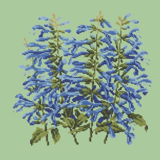 Salvia Kits Elizabeth Bradley Design Pale Green 
