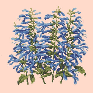 Salvia Kits Elizabeth Bradley Design Salmon Pink 

