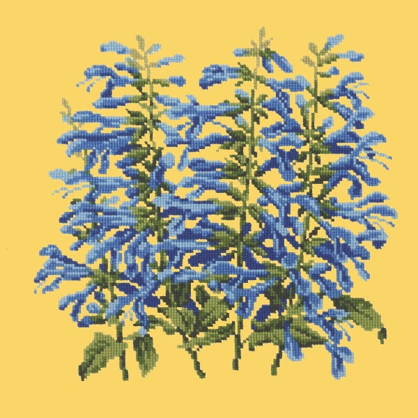 Salvia Kits Elizabeth Bradley Design Sunflower Yellow 
