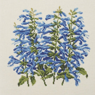 Salvia Kits Elizabeth Bradley Design Winter White 
