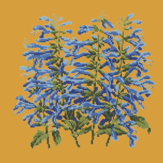 Salvia Kits Elizabeth Bradley Design Yellow 
