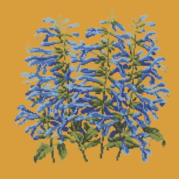 Salvia Kits Elizabeth Bradley Design Yellow 
