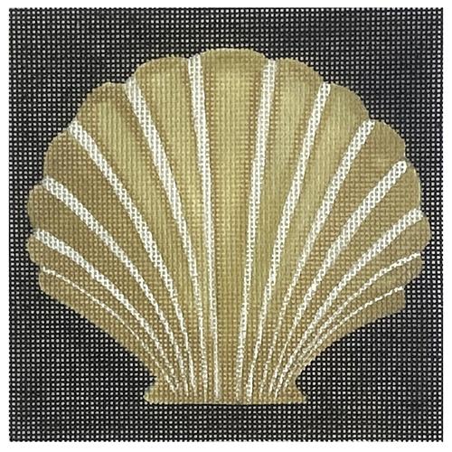 Scallop Fan Shell on Black Painted Canvas & More 