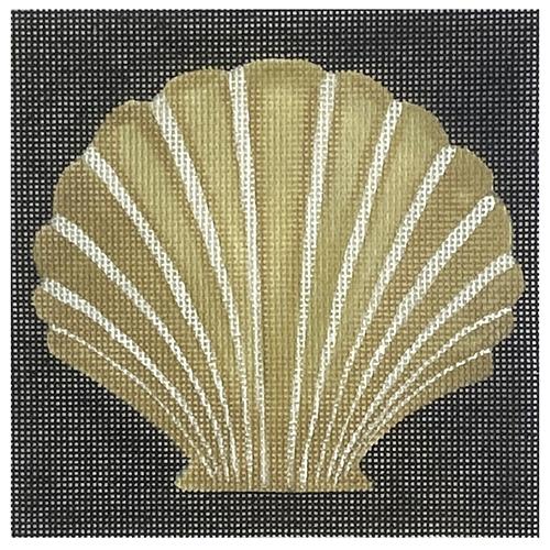 Scallop Fan Shell on Black Painted Canvas & More 
