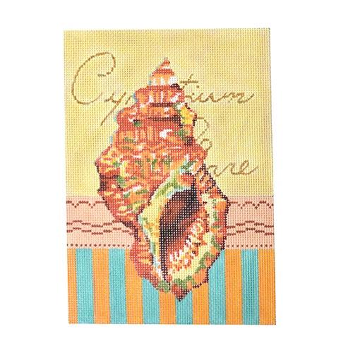 Seashell common triton Painted Canvas Colors of Praise 
