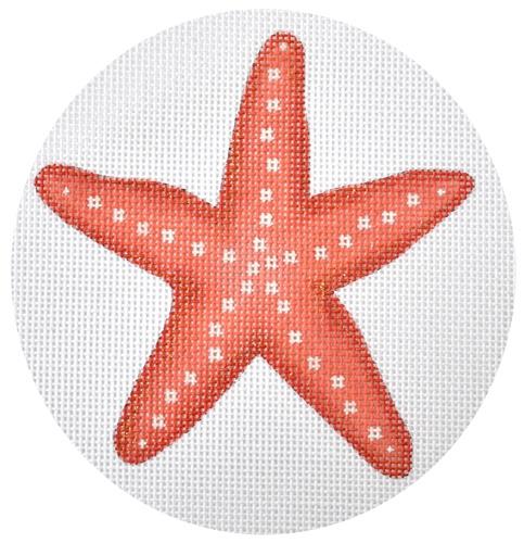 Seaside Starfish   Coral Painted Canvas Pepperberry Designs 
