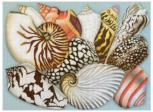 Shell Collage Painted Canvas Melissa Shirley Designs 