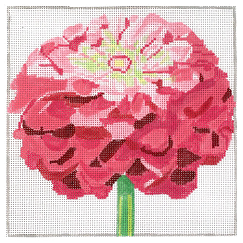 Simple Flower - Pink Zinnia Painted Canvas Jean Smith 