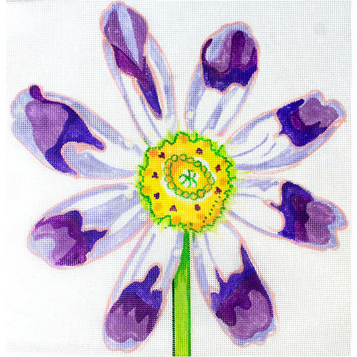 Simple Flower   Purple Cosmos Painted Canvas Jean Smith  - 1