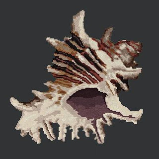 Spiky Conch Needlepoint Kit Kits Elizabeth Bradley Design Black 

