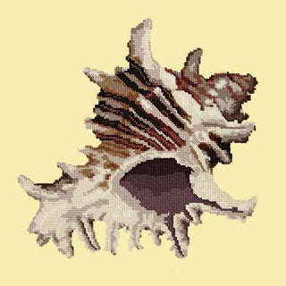 Spiky Conch Needlepoint Kit Kits Elizabeth Bradley Design Butter Yellow 
