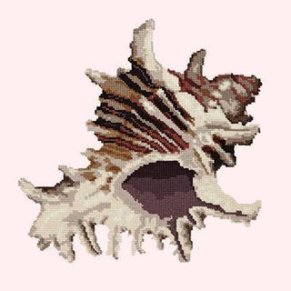 Spiky Conch Needlepoint Kit Kits Elizabeth Bradley Design Cream 
