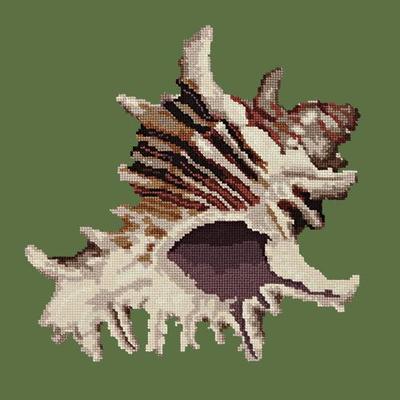 Spiky Conch Needlepoint Kit Kits Elizabeth Bradley Design Dark Green 
