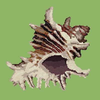 Spiky Conch Needlepoint Kit Kits Elizabeth Bradley Design Grass Green 
