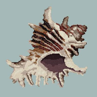Spiky Conch Needlepoint Kit Kits Elizabeth Bradley Design Pale Blue 

