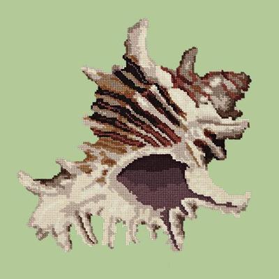 Spiky Conch Needlepoint Kit Kits Elizabeth Bradley Design Pale Green 
