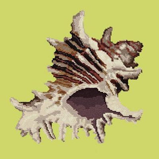 Spiky Conch Needlepoint Kit Kits Elizabeth Bradley Design Pale Lime 
