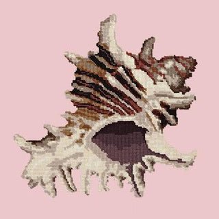 Spiky Conch Needlepoint Kit Kits Elizabeth Bradley Design Pale Rose 
