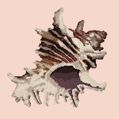 Spiky Conch Needlepoint Kit Kits Elizabeth Bradley Design Salmon Pink 
