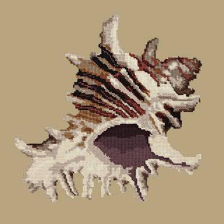 Spiky Conch Needlepoint Kit Kits Elizabeth Bradley Design Sand 
