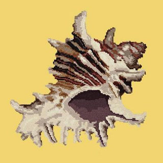 Spiky Conch Needlepoint Kit Kits Elizabeth Bradley Design Sunflower Yellow 
