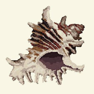 Spiky Conch Needlepoint Kit Kits Elizabeth Bradley Design Winter White 
