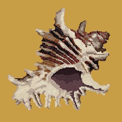 Spiky Conch Needlepoint Kit Kits Elizabeth Bradley Design Yellow 
