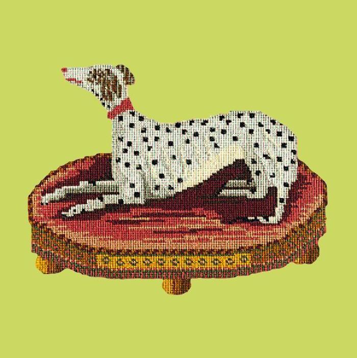 Spotted Dog Needlepoint Kit Kits Elizabeth Bradley Design Pale Lime 
